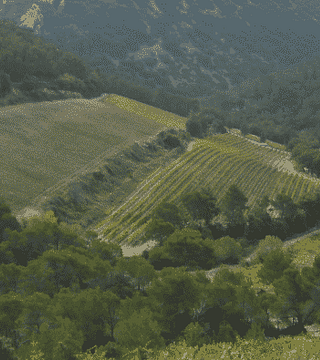 Experience Comfort at Domaine de Cassan