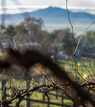 Montara Winery