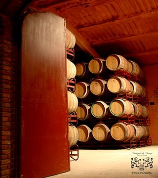 Dégustation de vins et visite des caves Bodegas Fernandez De Arcaya