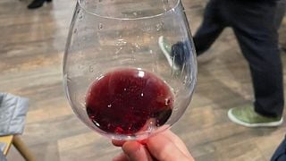 Tbilisi city tour and wine tasting