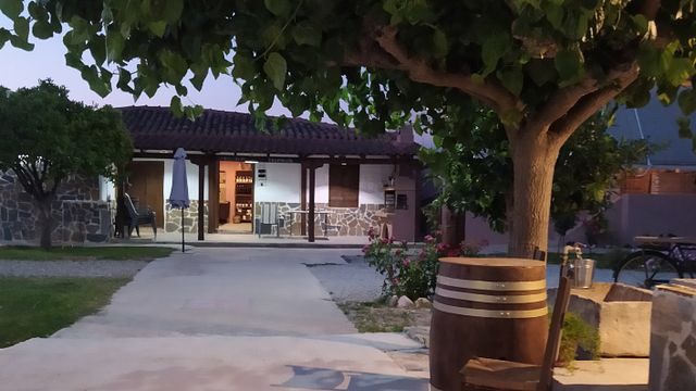 Dégustation de vins au domaine Skoumpris