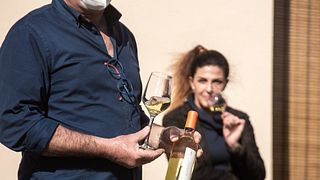 Explore Sardinian Wines on a Guided Cellar Tour