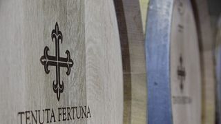 Runt Fertuna vid Tenuta Fertuna