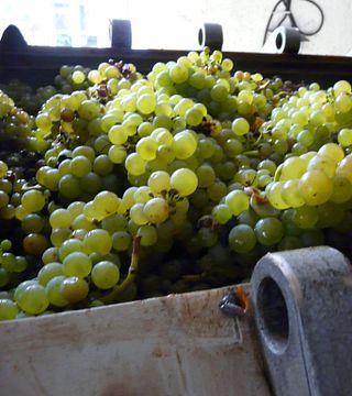 Degustação de vinhos e passeio em Gaec Topaze