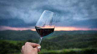 Guidad privat rundtur med vinprovning och lunch till Toscana från Rom