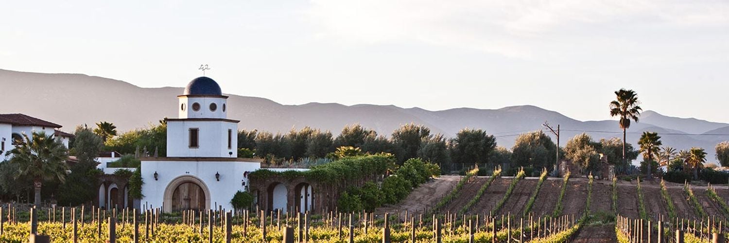 Baja California Wine Region