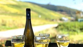 Cata de vinos y visita guiada en Weingut Martin Conrad
