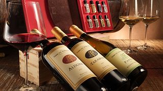 SENSORIAL Wine tasting and tour at Terre Del Marchesato - Bolgheri