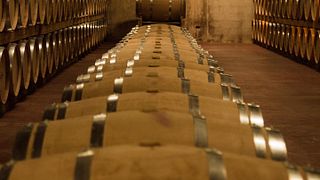Concediti prelibatezze maiorchine con una degustazione di 4 vini premium
