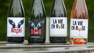 Dégustation de vins et visite sur mesure au Wijndomein Helshoven