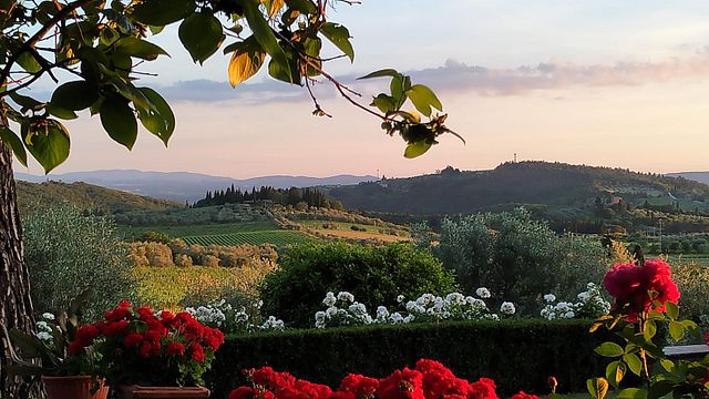 Cata de vinos de Casa Sola
