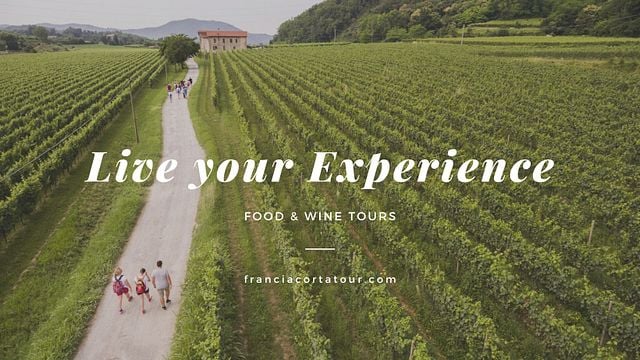 Visite exclusive des vins de Franciacorta au départ de Milan : dégustation et repas composé de trois plats