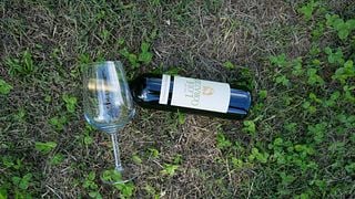Pic Nic dans le vignoble | Lodi Corazza