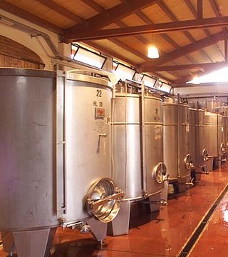 Vinprovning och rundtur på Poderi Morini
