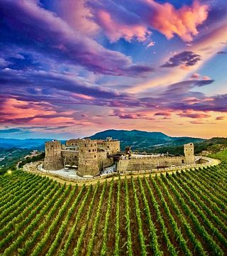 Verrone Viticoltori: A Legacy of Passionate Winemaking