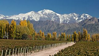Weintour durch Lujan De Cuyo