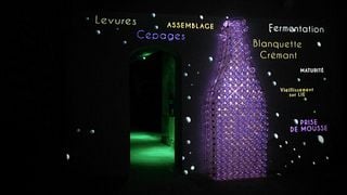 Degustazione di vini e visita alla Maison Guinot