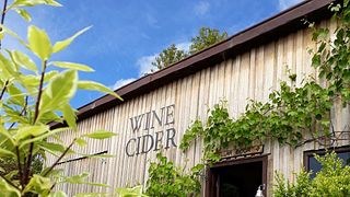 Winter Brook Vineyard