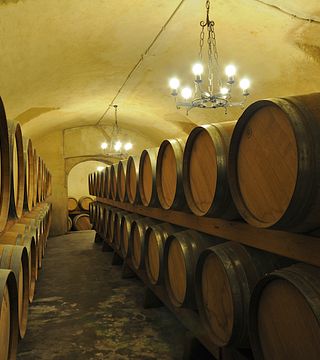 Wine tasting and tour at Casa Vinicola Triacca