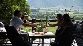 Robleria Vineyard