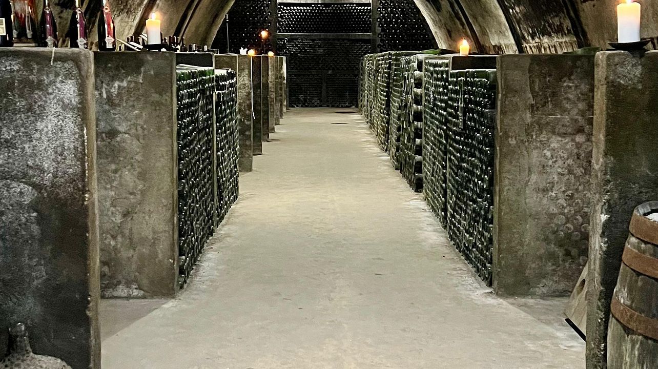 Quinta do Boição & Caves Velhas