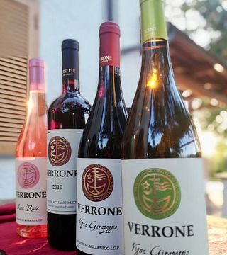 CILENTO WINE TASTING AT TENUTA GIRAPOGGIO