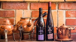 Dégustation de vins et visite à la Valgejõe Wine Villa