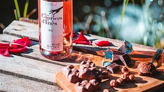 Wine Tasting and Tour at Les Caves De La Loire