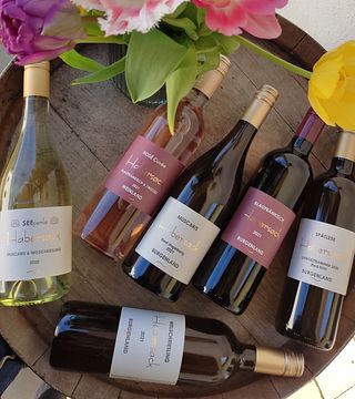 Weingut Karin Habersack 