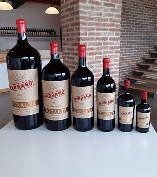 Vignalta Winery