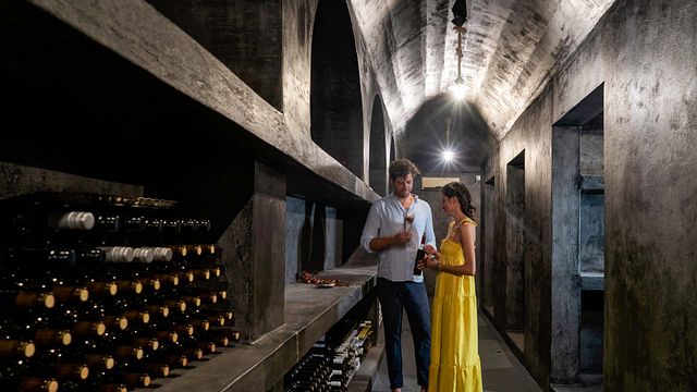 Cata de siete vinos en la bodega Artemis Karamolegos