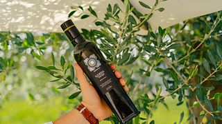 Degustazione e tour di vini alla Perla Del Garda