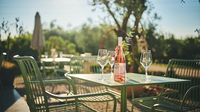 Dégustation de vin Pervino