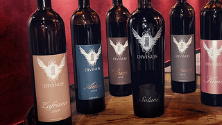Markus Divinus Winery