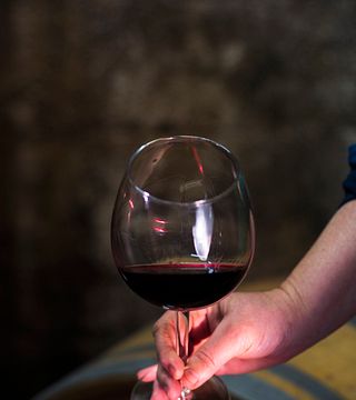 Matković Wines
