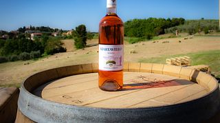 Weinprobe in der Cantina Del Trasimeno – Duca Della Corgna