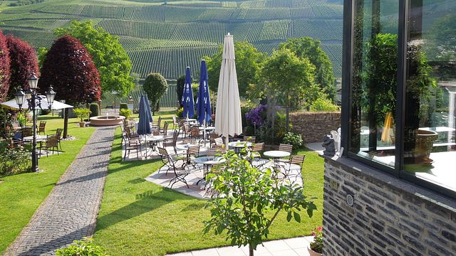Weinprobe und Führung im Weingut Lehnert