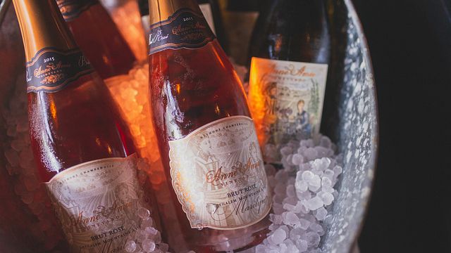 Dégustation de vins et visite des vignobles d'Anne Amie