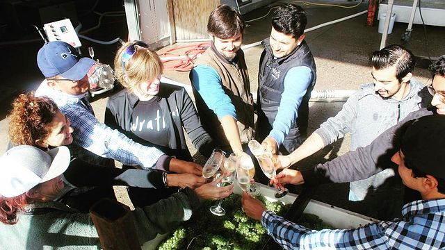 Degustazione di vini presso l'azienda vinicola Wrath