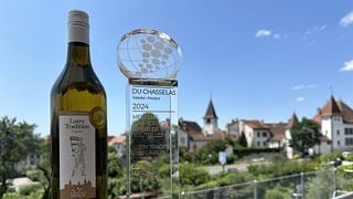 Chasselas y terroirs degustación de 5 vinos | Tierras de Lavaux