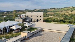 Le sommet du Verdicchio chez CasalFarneto | Dégustation de vins