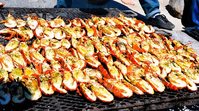 Esclusivo menu di pesce di 10 portate e bollicine sulla costa occidentale 🐟 evento!