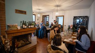 Dégustation de vins et visite guidée