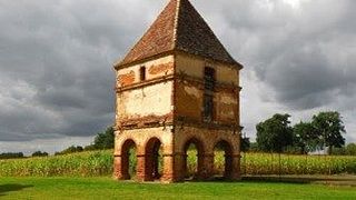 Tour del vino Esperienza nei vigneti del sud-ovest - Tolosa