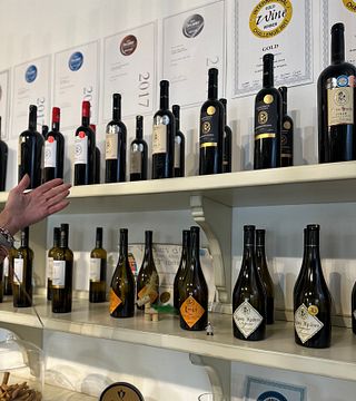 Dagstur till Evia Island med svamp och vin 