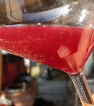 Cata de vinos y visita guiada en el Agriturismo Tere Ruse Mombaruzzo