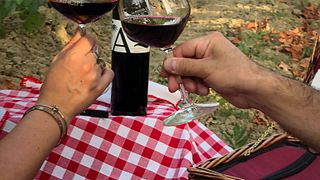 Dégustation et visite de grands vins
