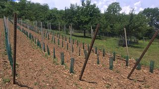 Weingut Weckbecker