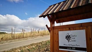 Dégustation de vins et visite à Tenuta San Giaime