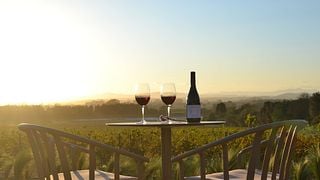 Harvest Dinner Event